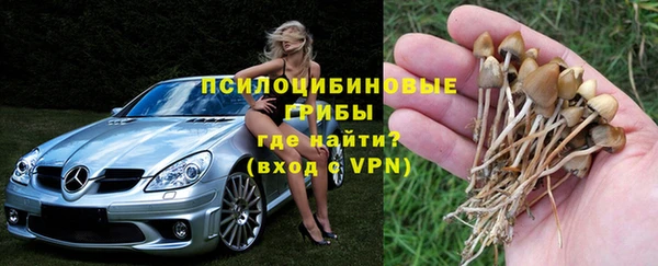 эйфоретик Арсеньев