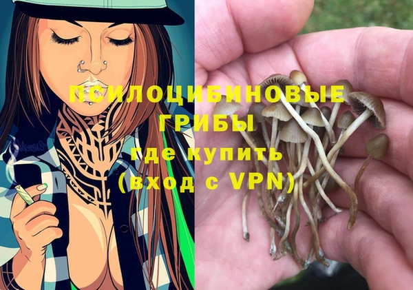 прущий лед Аркадак