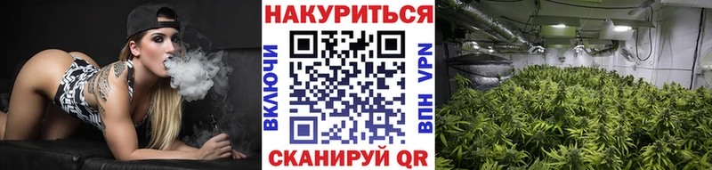 Конопля LSD WEED Богучар